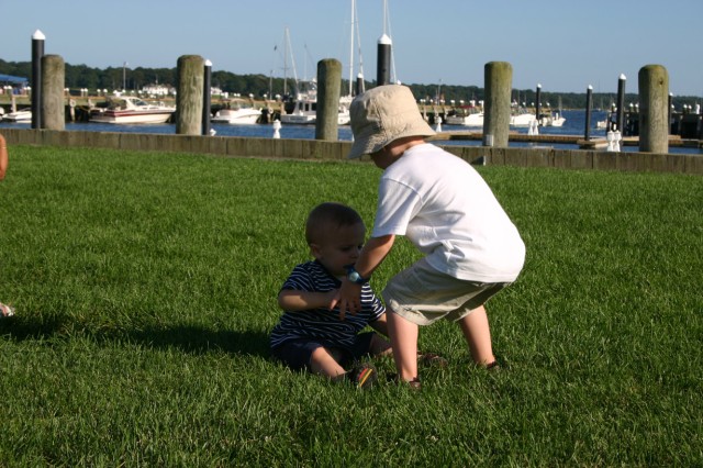Click for original image 393k 1229x819
